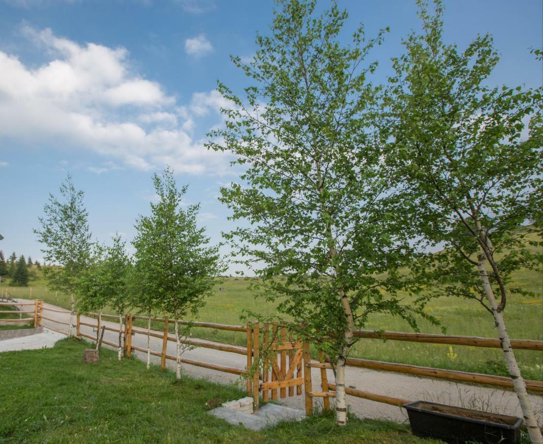 Guest House Sky Blue Zabljak  Bagian luar foto