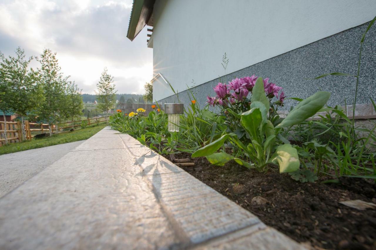 Guest House Sky Blue Zabljak  Bagian luar foto