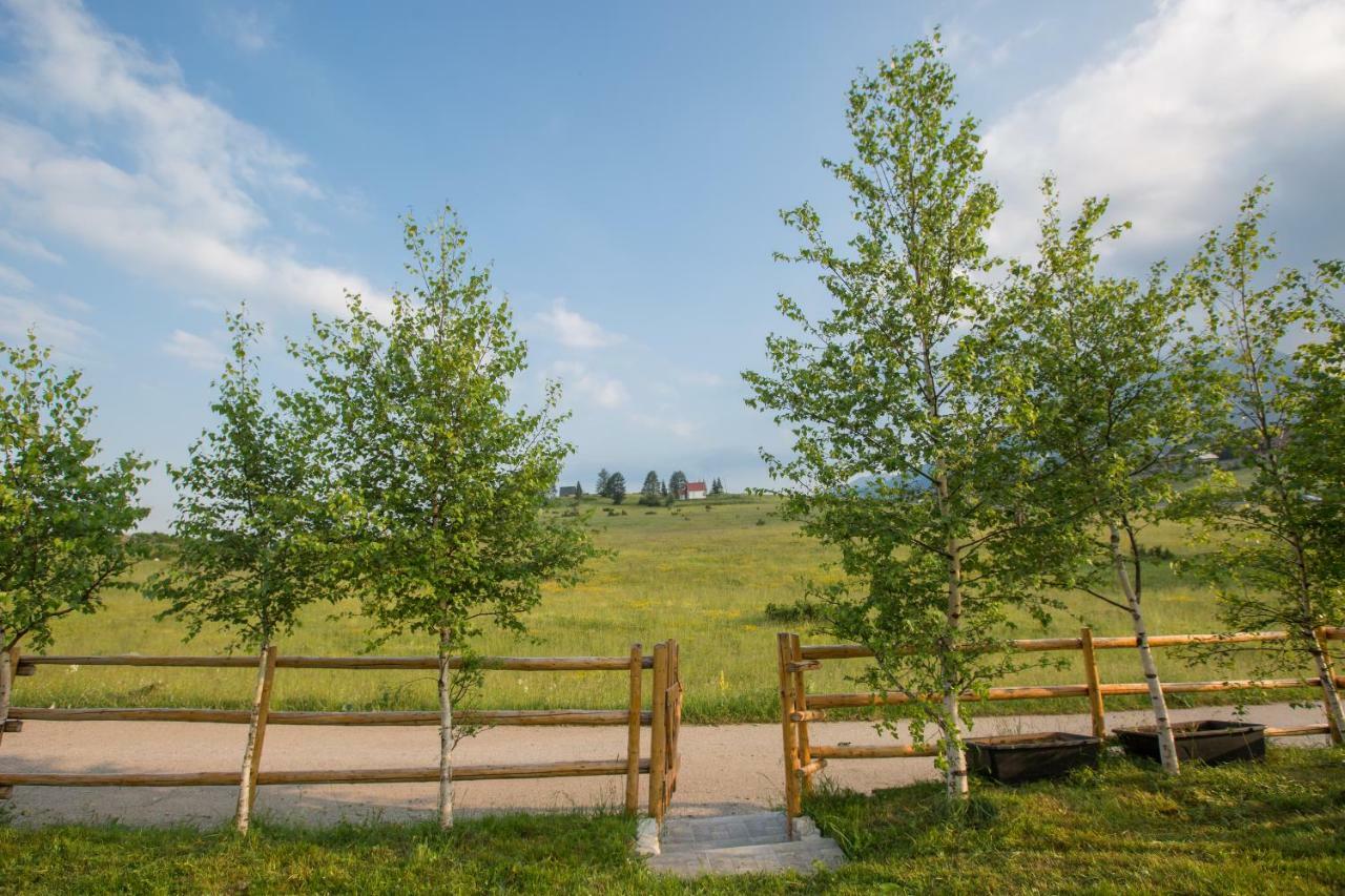 Guest House Sky Blue Zabljak  Bagian luar foto